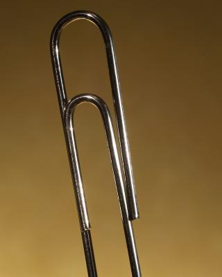 PB050986a.jpg